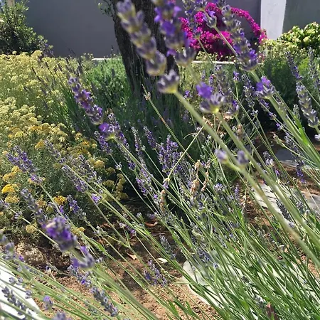 Panzió Casa Di L'ortu Ajaccio