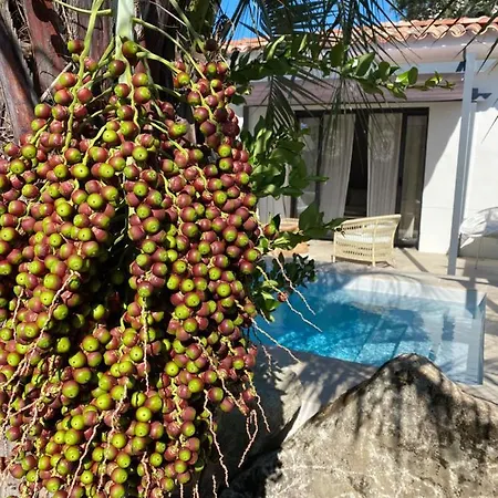 Casa Di L'ortu 4* Ajaccio